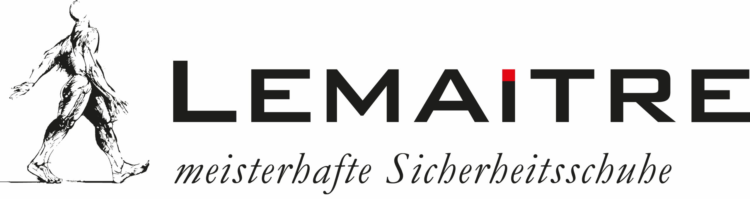 Lemaitre_logo